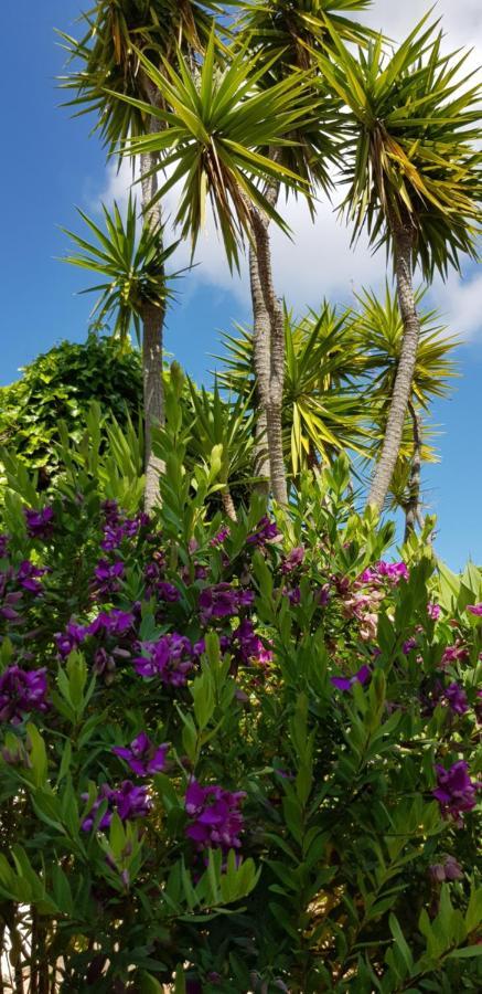 Villa Quinta Da Violeta Loulé Buitenkant foto