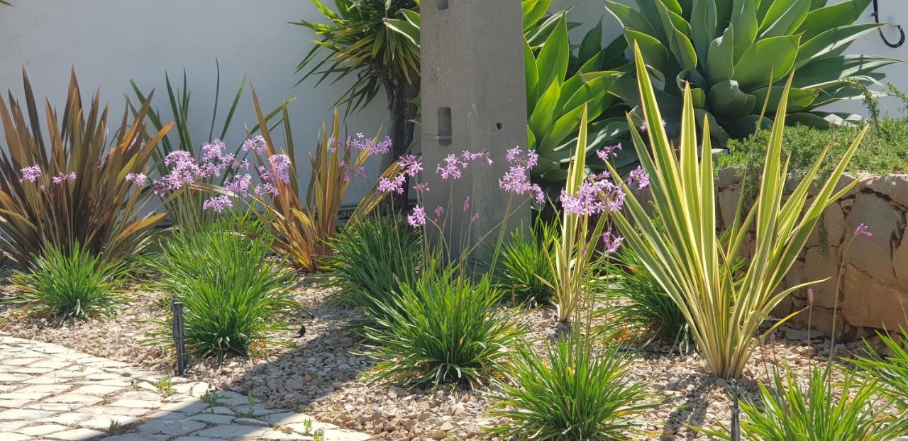 Villa Quinta Da Violeta Loulé Buitenkant foto